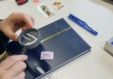 Kinderhände mit Lupe und Sammelalbum